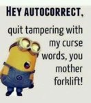 Minion 14.jpg
