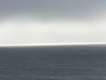 B065CB28-4DC2-4520-A543-D623C3B66DD9.jpeg