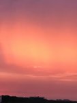 264D6FF5-0C4B-49F1-8BB9-17CF1F299593.jpeg