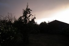 DSCF2296.JPG