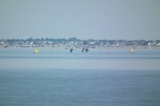 DSCF2304.JPG