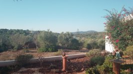 IMG-20220923-WA0000.jpeg