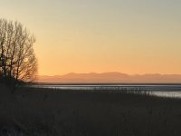 26C70694-5063-4ACE-964A-2D7D6343830F.jpeg