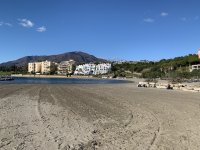 35CC4521-7DD1-40D9-80D3-E40E4523BA56.jpeg