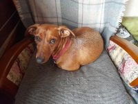 Cleo 30.12.22.jpg