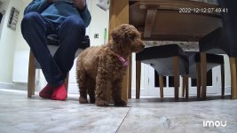 20221212074948073_8E00FA6PAZ252AC_L_L081212074948 (1).jpg