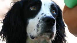 Windows Photo Viewer Wallpaper.jpg Windows Photo Viewer Wallpaper.jpg