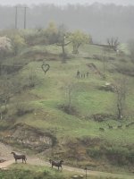 IMG_3854.jpeg