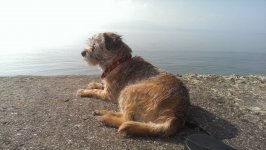 IMAG0859.jpg IMAG0859.jpg