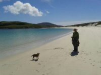 1529862848586.jpg 1529862848586.jpg