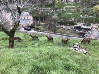 IMG_3874.jpeg IMG_3874.jpeg