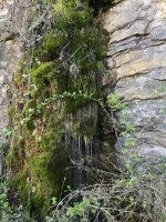 IMG_3918.jpeg IMG_3918.jpeg
