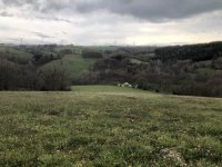 IMG_3935.jpeg IMG_3935.jpeg