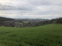 IMG_3934.jpeg IMG_3934.jpeg