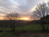 IMG_3938.jpeg IMG_3938.jpeg
