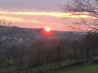 IMG_3940.jpeg IMG_3940.jpeg