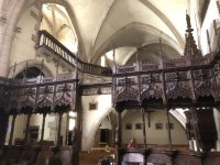 IMG_3950.jpeg IMG_3950.jpeg