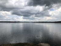 IMG_3956.jpeg IMG_3956.jpeg