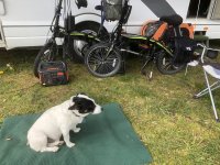 IMG_3959.jpeg IMG_3959.jpeg