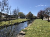 IMG_3967.jpeg IMG_3967.jpeg
