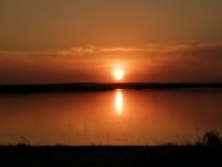 IMG_20230419_200127.jpg