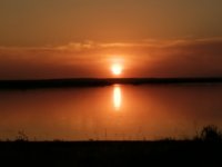 IMG_20230419_200129.jpg