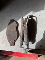 IMG_1446.jpeg