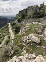 IMG_4167.jpeg IMG_4167.jpeg