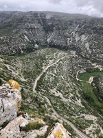 IMG_4149.jpeg IMG_4149.jpeg