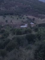 IMG_4197.jpeg IMG_4197.jpeg