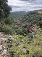 IMG_4217.jpeg IMG_4217.jpeg