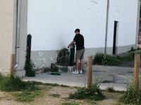 IMG_20230428_105017.jpg