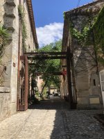 IMG_4267.jpeg IMG_4267.jpeg