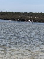 IMG_4373.jpeg