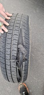 20221009_170454.jpg 20221009_170454.jpg