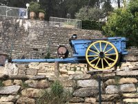 IMG_4607.jpeg IMG_4607.jpeg