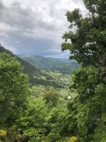 IMG_4625.jpeg IMG_4625.jpeg