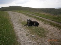 P5260028.JPG P5260028.JPG