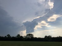 IMG_4772.jpeg