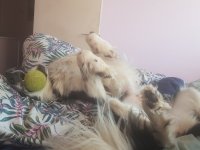 20230614_185743.jpg