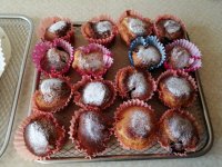 IMG_20230619_180421.jpg IMG_20230619_180421.jpg