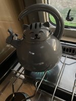 IMG_2286.jpeg