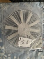 IMG_4637.jpeg