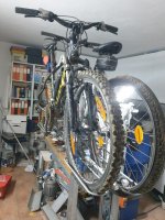 WhatsApp Image 2023-09-16 at 07.16.47.jpeg