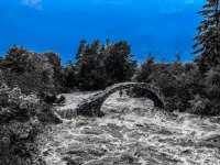 IMG_5181.jpeg