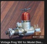 frog 100.jpg