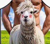 sheep toy.jpg