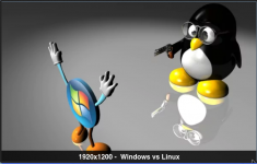 windows v linux.png