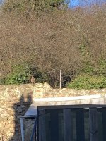 IMG_5448.jpeg