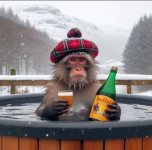scottish-monkey.jpg